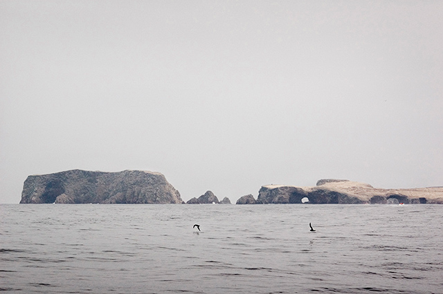 Ballestas Islands